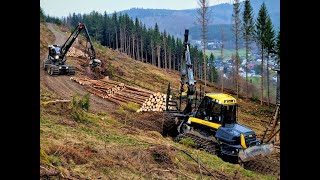 🌲SLOPE • Ponsse Buffalo amp Logset 6HP • Harvester amp Forwarder Action • Loggingmachines🌲 [upl. by Ahsit]