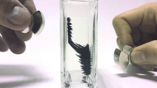 Magnetic Nanofluids Ferrofluids [upl. by Noah]