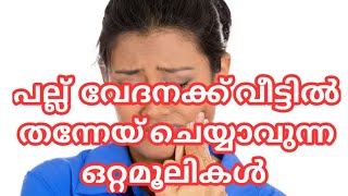 പല്ല് വേദന മാറ്റാന്‍ ചില വഴികള്‍pallu vedana maranpallu vedana malayalampallu vedana tipsthe bri [upl. by Yasibit94]