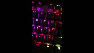 Tecware Phantom 104 sound test Wraith Brown Switches [upl. by Jena785]