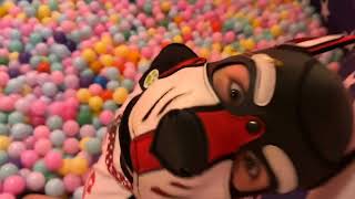 PuppyPlay in the Ball Pit Alpha Tosa ft Zanderwoodz amp Spyke [upl. by Trenton]