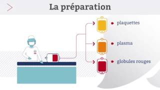 EFS  Le parcours de la poche de sang [upl. by Elie]