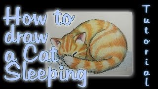 How to draw a Cat Sleeping [upl. by Enawd]