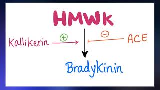 Bradykinin [upl. by Arundel]