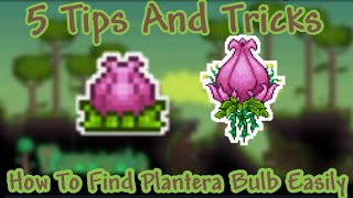 How To Find Plantera Bulb Easily  Terraria 14 Mobile Tips And Tricks  Walt [upl. by Hnahc321]