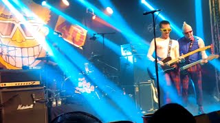 Toy Dolls Wipeout  live 2020 [upl. by Neural]