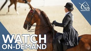 Saddle Seat World Cup Highlights [upl. by Jerrold990]