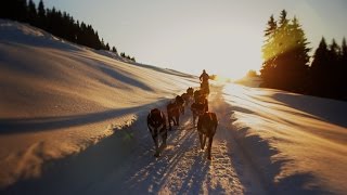 Souvenirs partagés… avec un musher aux Saisies [upl. by Madge]