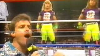 rockers vs rougeau brothers wwf 89 [upl. by Acirtap372]