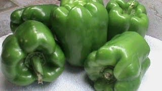 How to Freeze Green Peppers [upl. by Llebana]