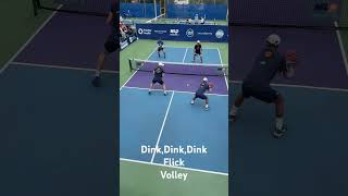 Dink Flick Volley pickleball play [upl. by Atilehs]