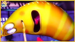 LARVA Season 4 Episode 20  180  Yellow CHEF  New Cartoons 2024  Hilarious Cartoon Compilation [upl. by Dusty]