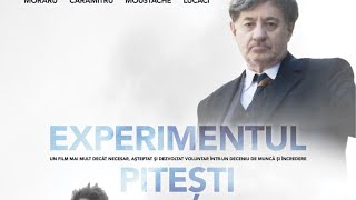 Experimentul PITEȘTIFilmul un dialog cu regizorul Victoria Baltag [upl. by Liarret]