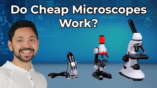 Do Cheap Microscopes Actually Work [upl. by Dietsche532]