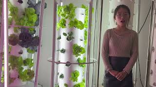 How the Aeroponic Tower System Works [upl. by Katrine578]