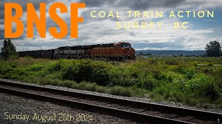 BNSF Rail Action at SurreyBCs Colebrook Road Crossing at BNSF Mile Marker 1306 [upl. by Eniladam854]