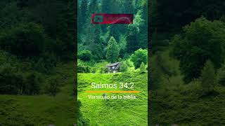 Salmos 342 Versículo De La Biblia [upl. by Zigrang]