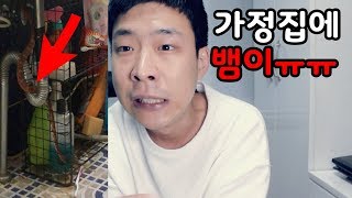 저희 집 화장실에 뱀이 들어왔어요 ㅠㅠ 일반 가정집인데 [upl. by Pasquale]