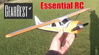 DHC2 A600 RC Trainer Plane with autostability GearBestCOM [upl. by Gerrilee]