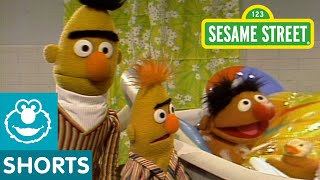 Sesame Street Bert And Ernie Water Sports [upl. by Dusty856]