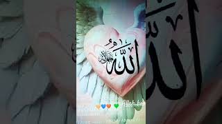 Zikry Allah🧡💙❤️💚🧡💙❤️💚ilovemyprophetmuhammadsaw [upl. by Eitsirc79]