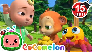 Itsy Bitsy Spider  15 MIN LOOP  CoComelon Animal Time  Nursery Rhymes [upl. by Laddie]