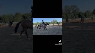 HSV highlights horse thisiswherethefunbegins equestrian riding [upl. by Tneciv757]