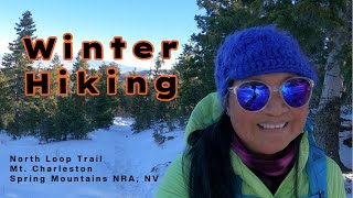 North Loop Trail to The Meadow Mt Charleston Spring Mountains NRA Solo Winter Hiking [upl. by Ikcir243]