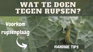 Wat te doen tegen rupsen [upl. by Yanaj75]