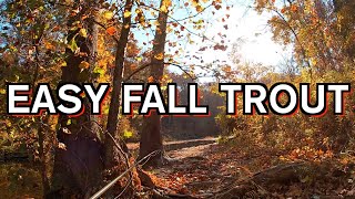 EASY Fall FLY FISHING for TROUT Creek Fishing [upl. by Oiramd]