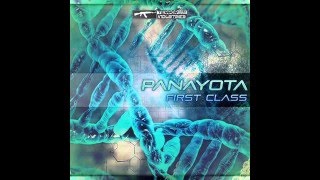 Panayota First Class  Psydzu Lidzu Mix [upl. by Chiarra131]