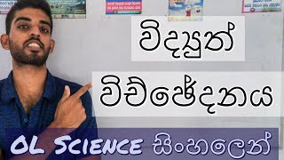 OL Science Sinhala  විද්‍යුත් විච්ඡේදනය​ Electrolysis  Grade 11 Part I [upl. by Petromilli]