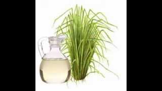 Vetiver Oil Health Benefits [upl. by Aram]