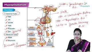 Hypopituitarism Hindi  Internal Medicine [upl. by Eissac482]