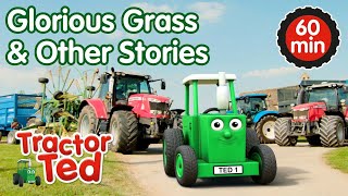 Glorious Grass amp Other Tractor Ted Stories 🚜  Tractor Ted Compilation  Tractor Ted Official [upl. by Bridwell]