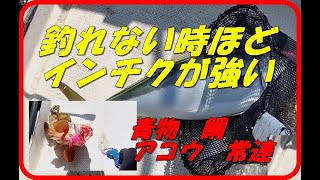 釣れてない時ほどインチクは強い 周りはゼロだけど それでも形を作る [upl. by Sobel]