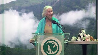 Legendary conservationist Jane Goodall inspires youth to make positive impact [upl. by Marlena]