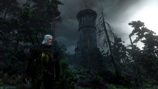 The Witcher 3 Wild Hunt pt124 Finders Keepers The Tower Outta Nowhere pt1 [upl. by Ahsyen867]