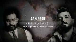 Ahmet Kaya vs Taladro  Sözüm Şiirlerin Mükemmelidir  Leylayaveda [upl. by Gianina188]