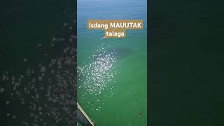 PART 2 MAUTAK na isda fishing [upl. by Alyac]