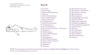 Week 28 Learning and Practicing Iyengar Yoga for Beginners [upl. by Lerej]