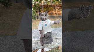 Dont Throw It✋ Its A Surprise Snack For The Squirrel🐿️🌰 catvideos catmemes trending [upl. by Araas]