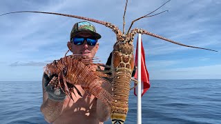 Giant lobster Catch Clean amp Cook  SWIMMING with MANATEE’S [upl. by Dnalevets256]