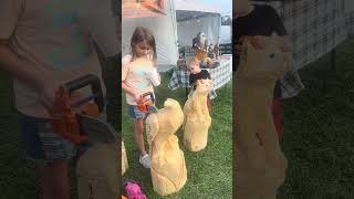 Kids Carving with quotChainsawsquot at the Hookstown Fair [upl. by Orsino]