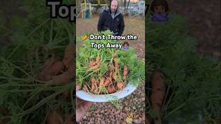 What Should You Do With Your Carrot Tops Make Carrot Green Chips [upl. by Adraynek]