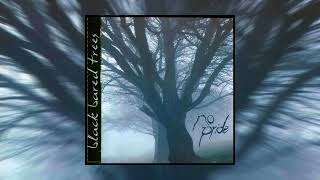 No Pride  Black Barred Trees Full Album 2000 [upl. by Picardi525]