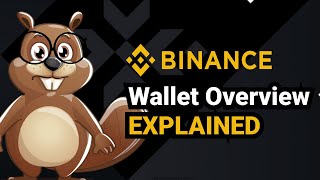 Binance Wallet Overview Explained [upl. by Enecnarf]