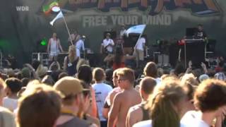 Fat Freddys Drop live  Summerjam 2013 [upl. by Elery]