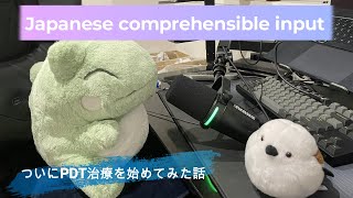 Japanese comprehensible input 14  肌の話ついにPDT治療を始めてみた話 [upl. by Ardussi]