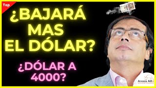 ¿BAJARA MAS EL DOLAR EN COLOMBIA EN 2023 [upl. by Adnalram]